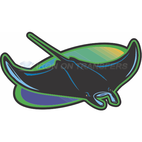 Tampa Bay Rays Iron-on Stickers (Heat Transfers)NO.1941